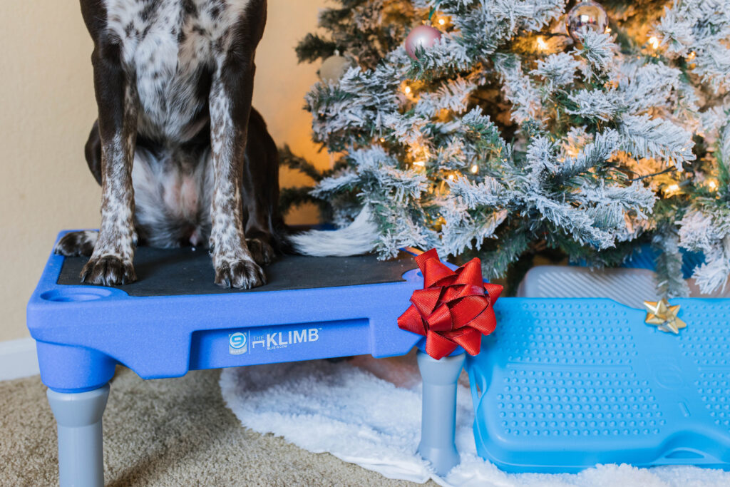 Blue-9 KLIMB dog Christmas gift idea sparkles and sunshine blog