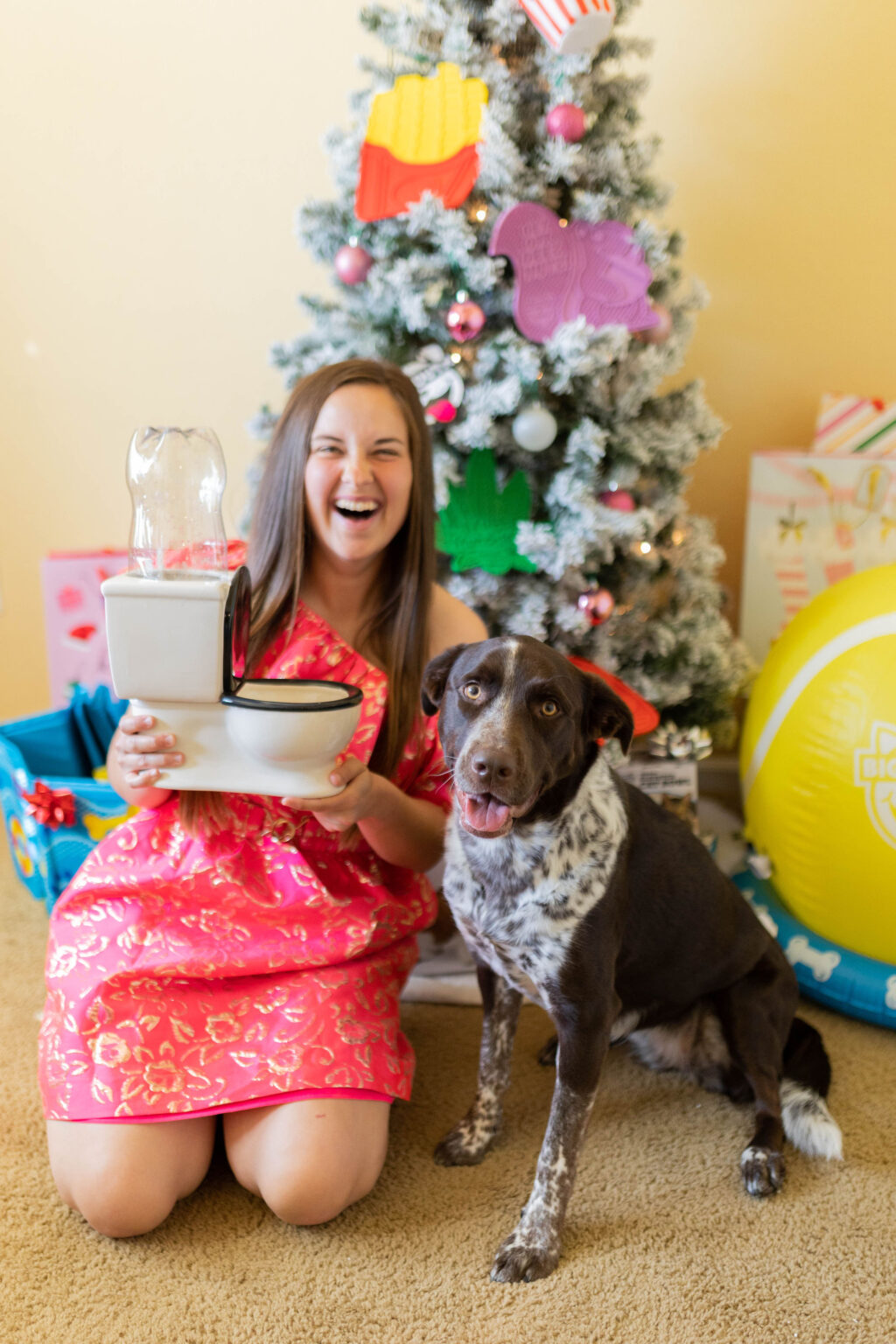 15+ Christmas Gifts For Dogs and Dog Owners Sparkles and Sunshine Blog