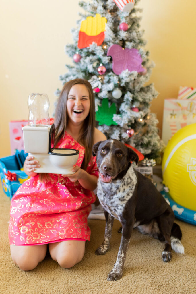 15+ Christmas gifts for dogs and dog owners sparkles and sunshine blog