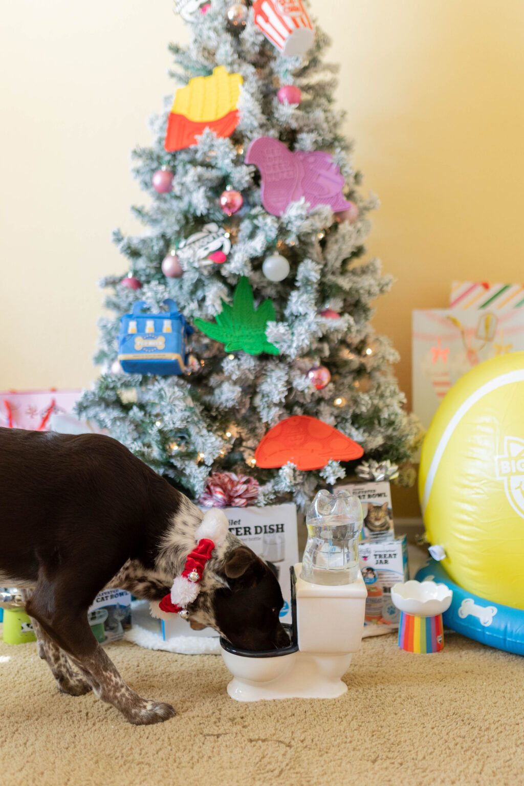 15+ Christmas Gifts For Dogs and Dog Owners Sparkles and Sunshine Blog