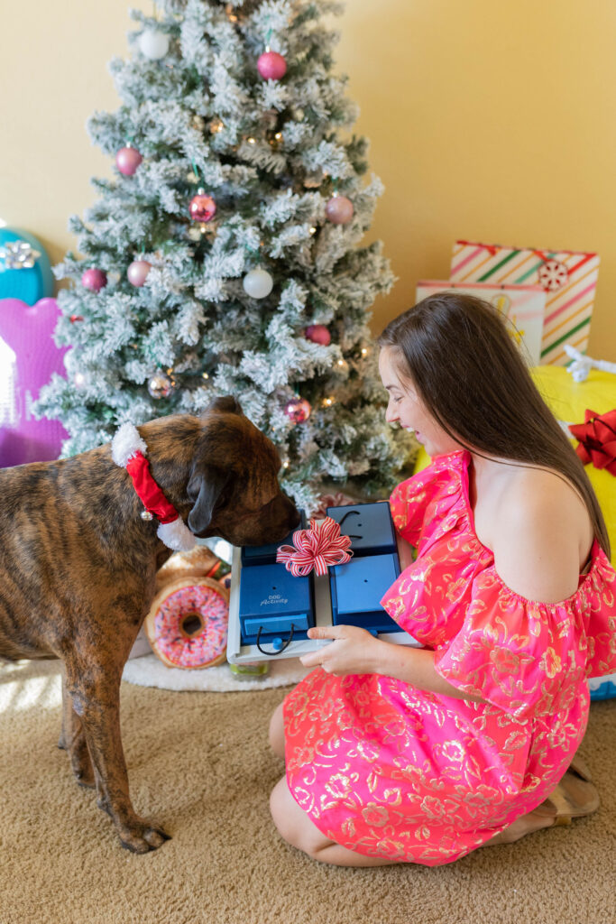 Trixie poker box dog enrichment toy dog Christmas gift idea sparkles and sunshine blog