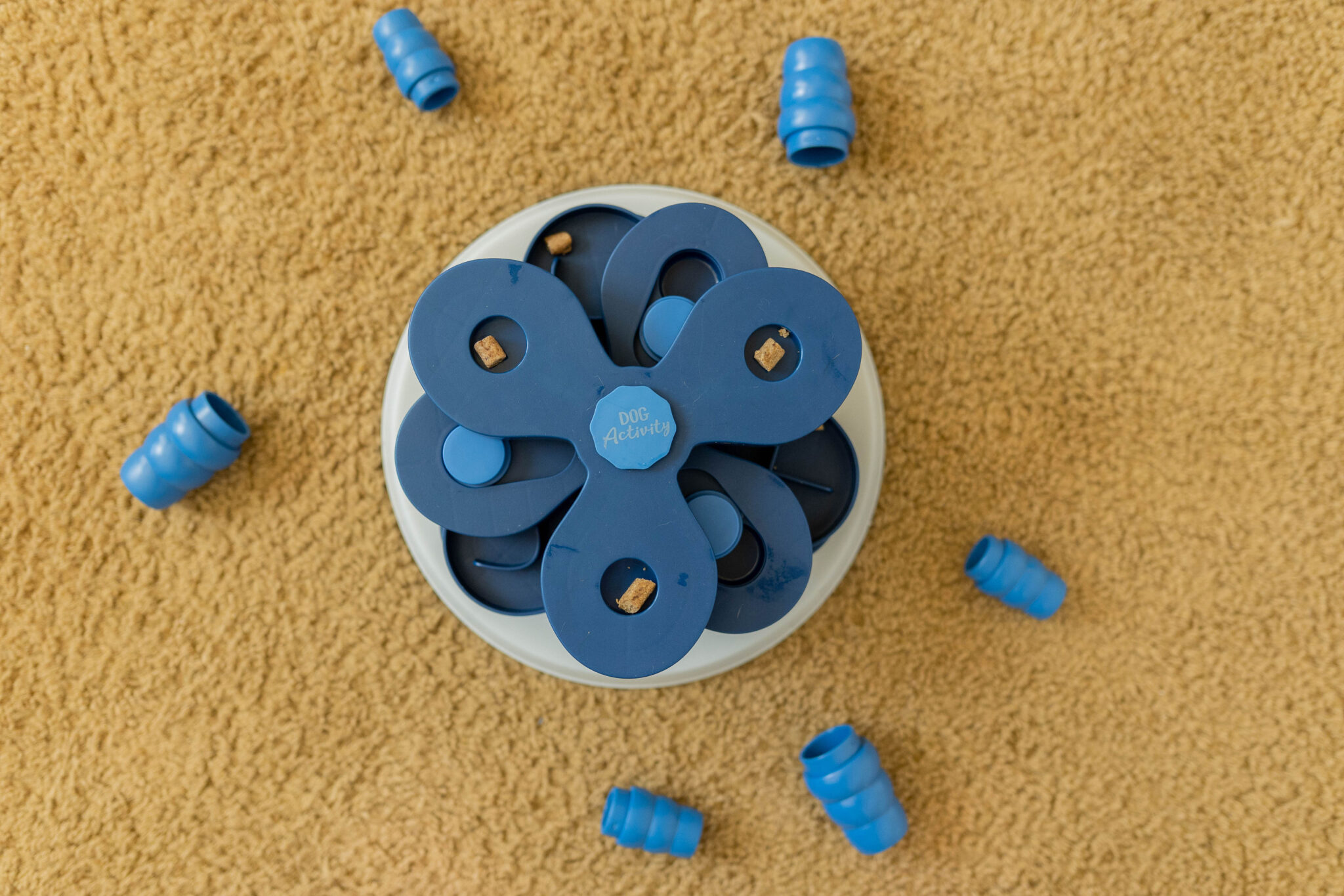 Dog Enrichment Activities: Trixie Dog Toys