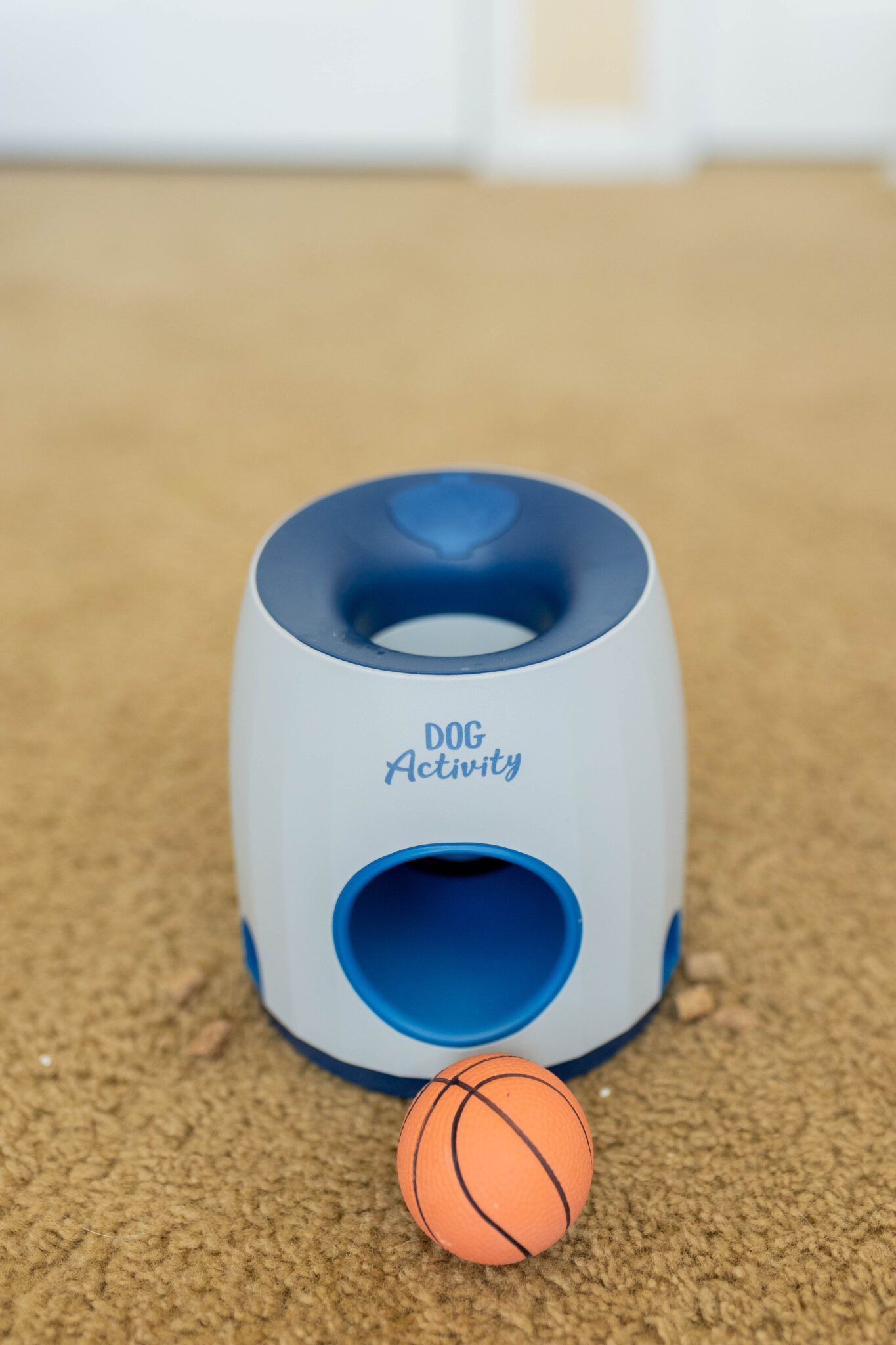 Dog Enrichment Activities Trixie Dog Toys