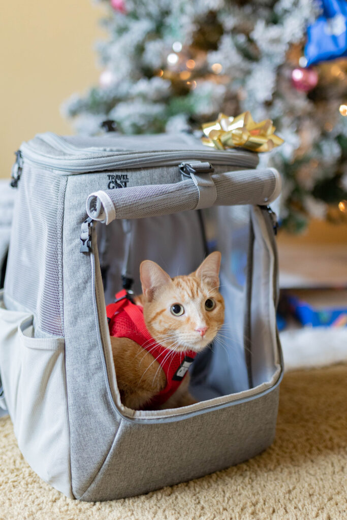 Travel cat the navigator cat backpack christmas gifts for cats sparkles and sunshine blog