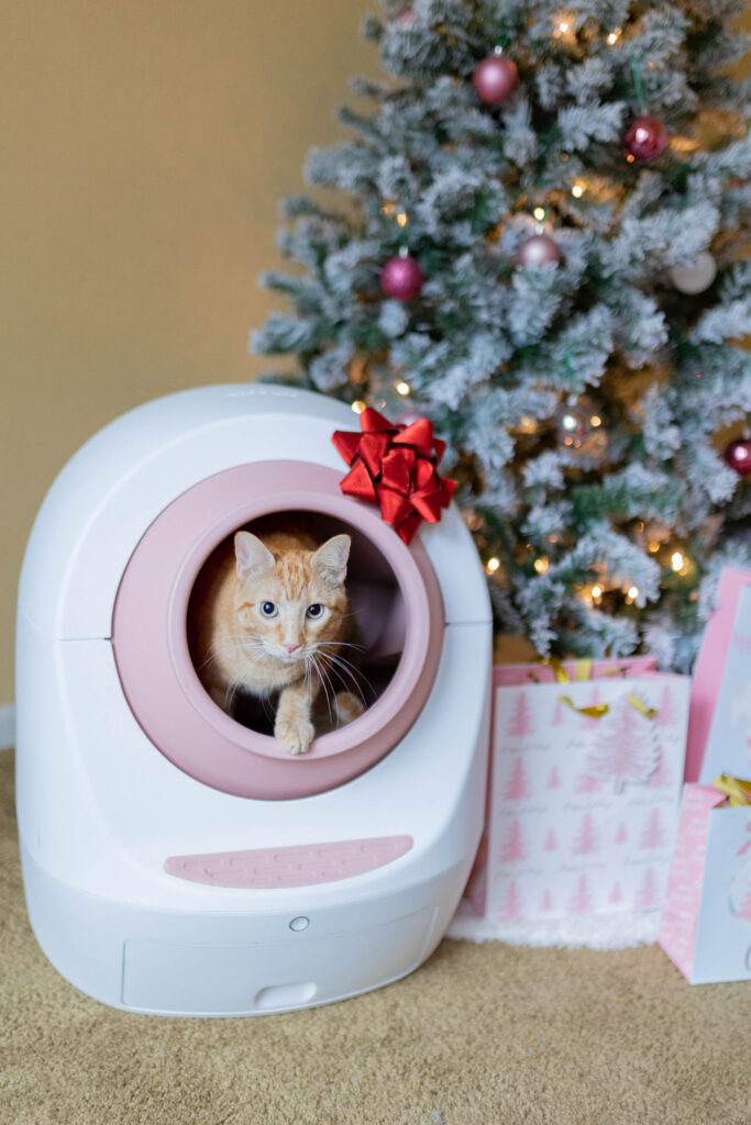 leos loo too automatic smart cat litter box luxury cat gift for christmas sparkles and sunshine blog