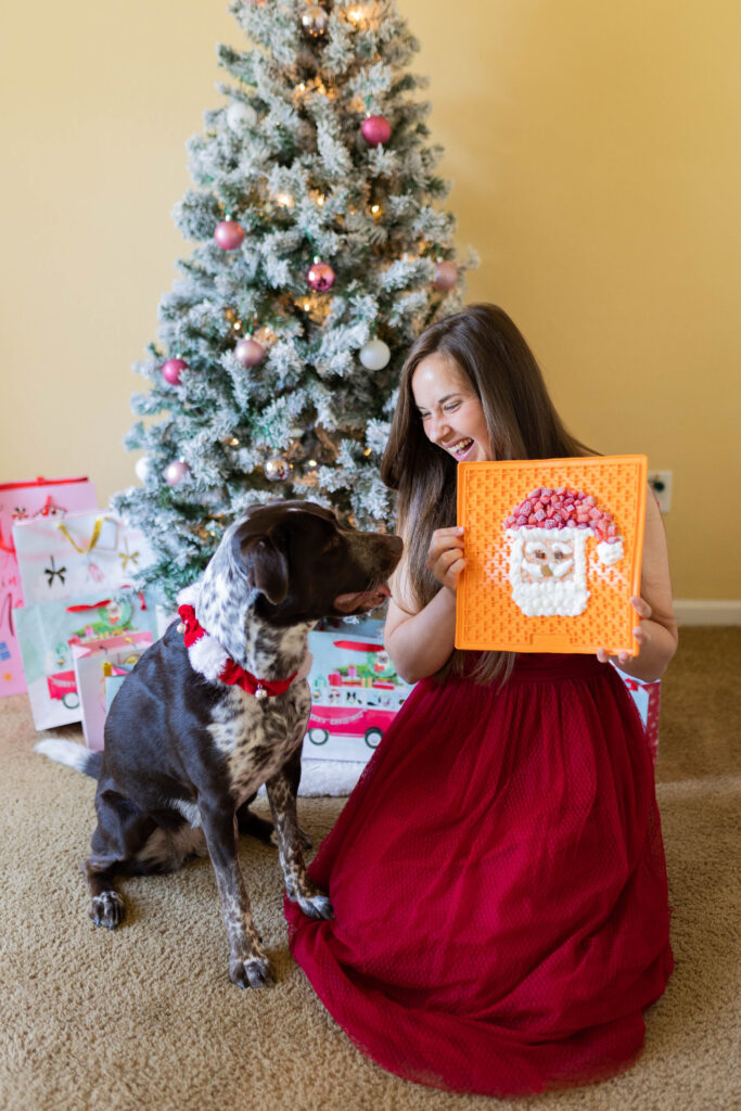 3 homemade dog lick mat Christmas treat ideas sparkles and sunshine blog