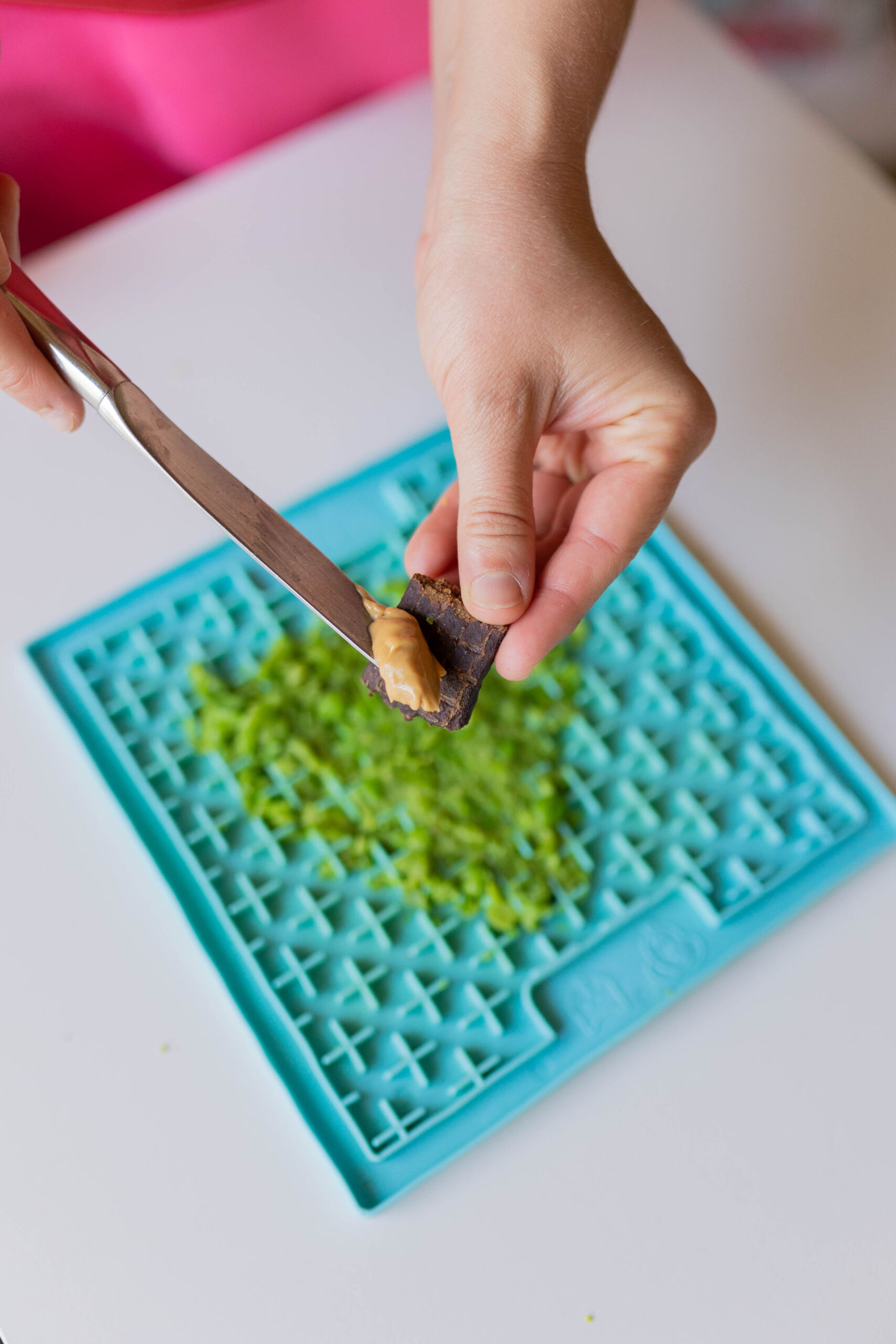 3 Homemade Dog Lick Mat Christmas Treat Ideas