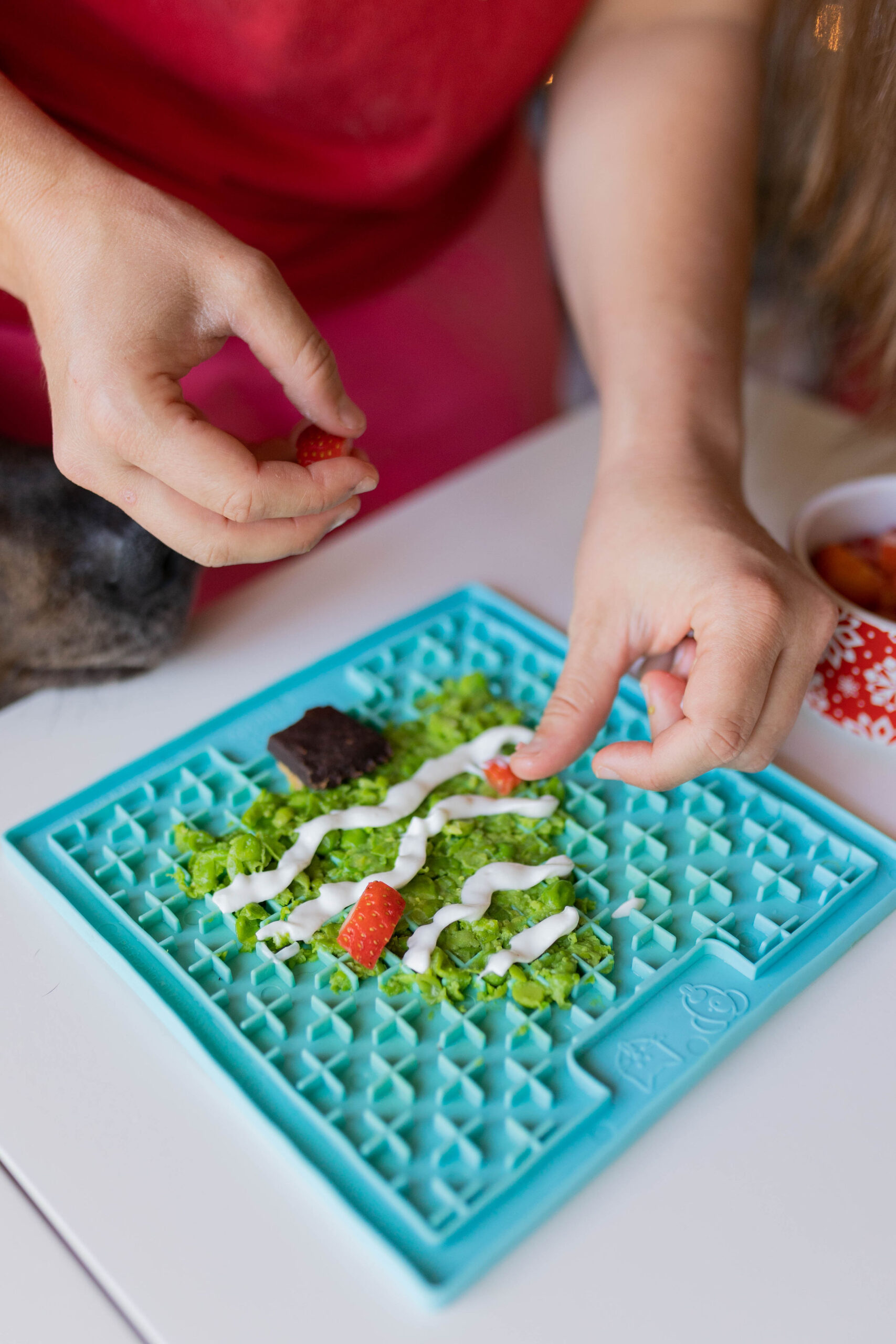 3 Homemade Dog Lick Mat Christmas Treat Ideas