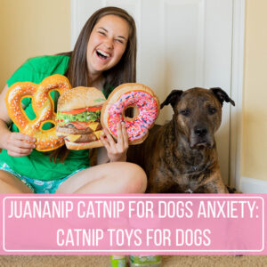 https://sparklesandsunshineblog.com/wp-content/uploads/2023/11/doggijuana-juananip-catnip-for-dogs-anxiety-catnip-toys-for-dogs-300x300.jpg