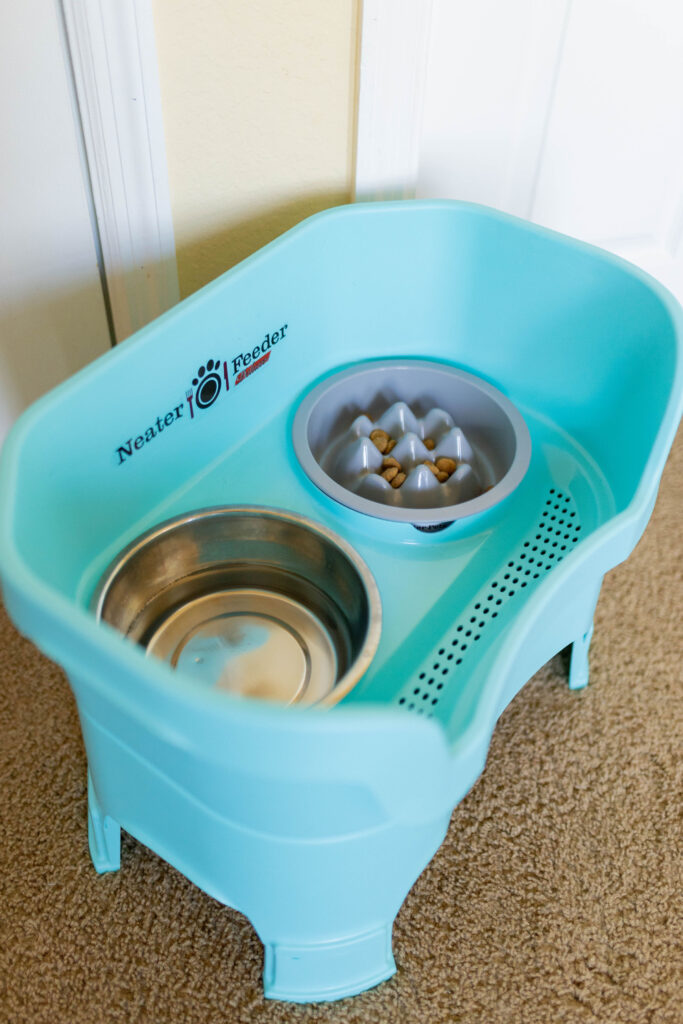 raised slow feeder dog bowls neater pets sparkles and sunshine blog