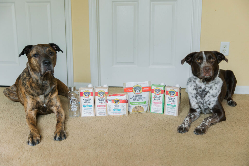 Benefits of bone broth for dogs with brutus broth sparkles and sunshine blog