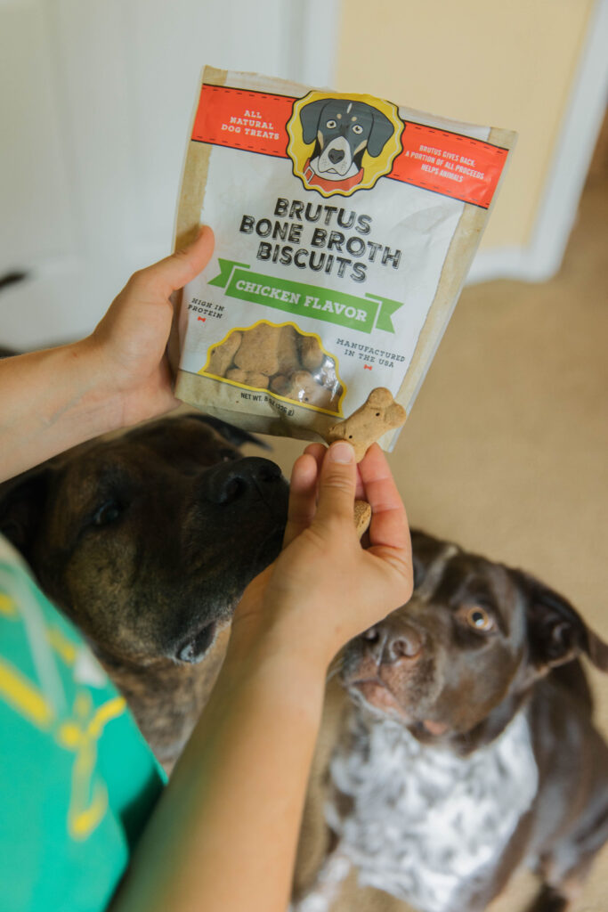 Brutus broth bone broth dog treats sparkles and sunshine blog