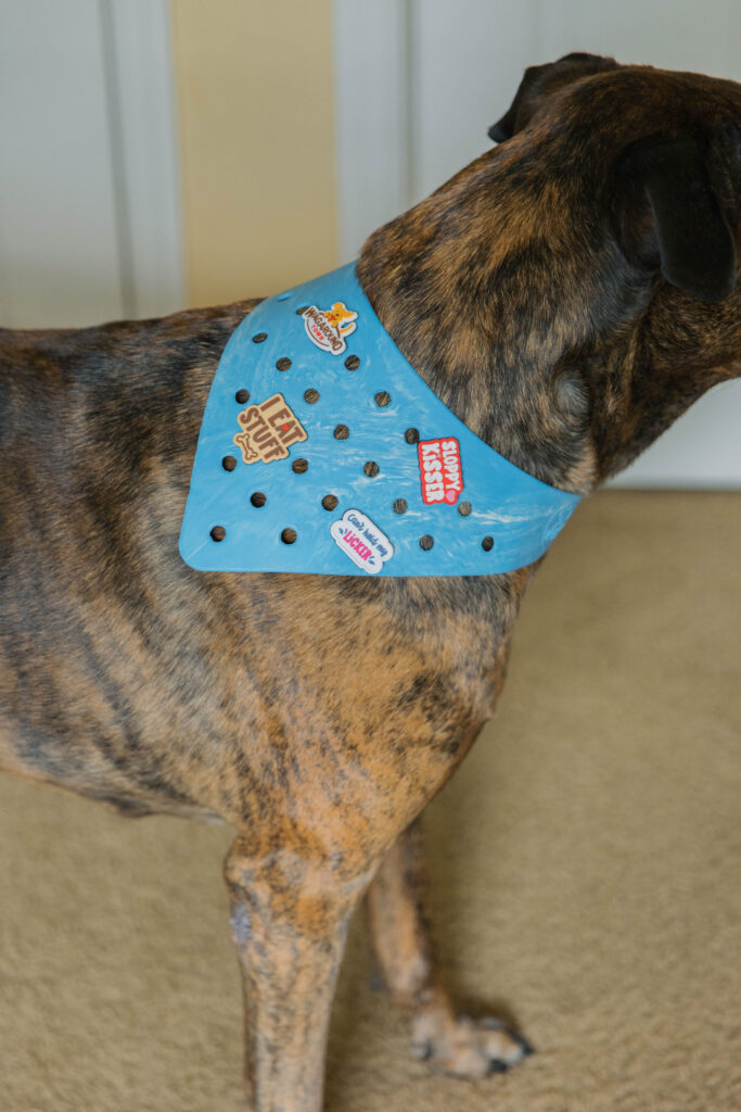 Blue custom dog bandana on mastiff mix sparkles and sunshine blog