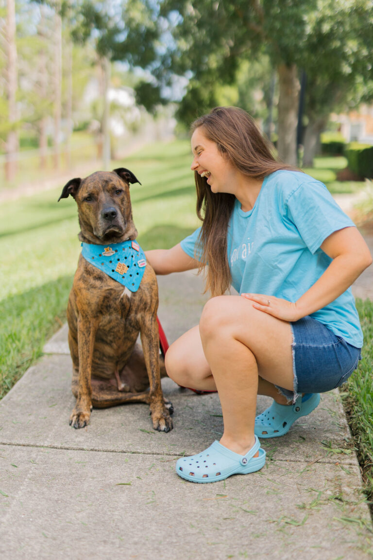 Wag Around Town Charmdana Fun Personalized Dog Bandanas Sparkles and Sunshine Blog