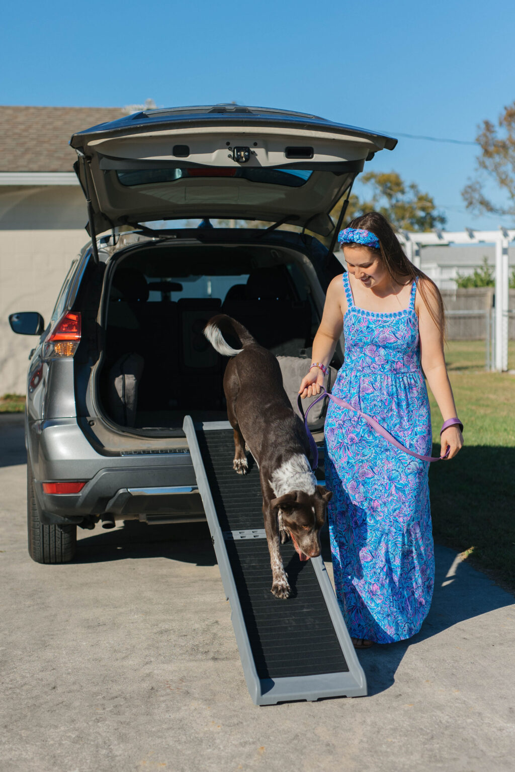 WeatherTech Lightweight Folding Dog Ramp Dog Ramps For Large Dogs