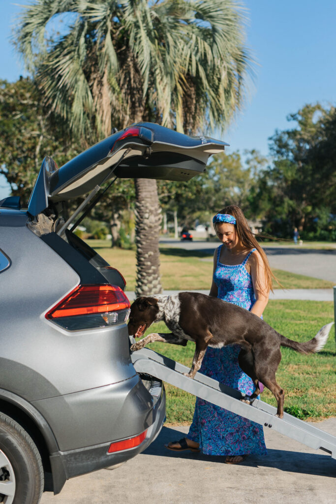 lightweight dog vehicle ramp suv sparkles and sunshine blog