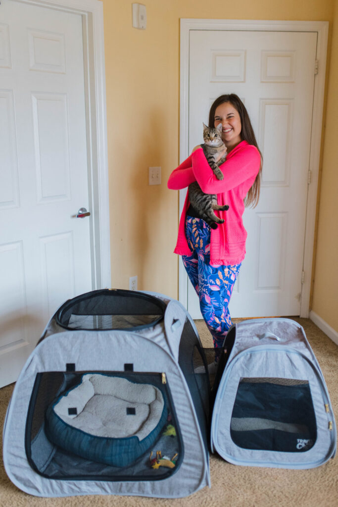 Portable cat enclosure tent review sparkles and sunshine blog