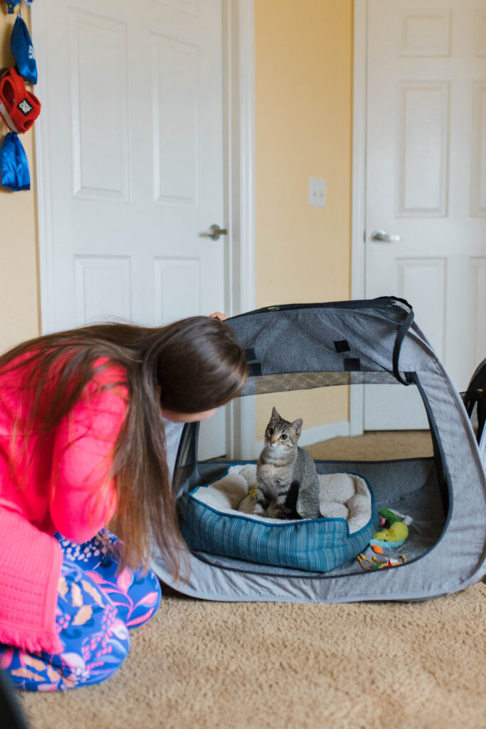 Portable cat enclosure tent review sparkles and sunshine blog