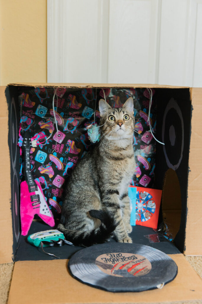 Diy cardboard cat house sparkles and sunshine blog