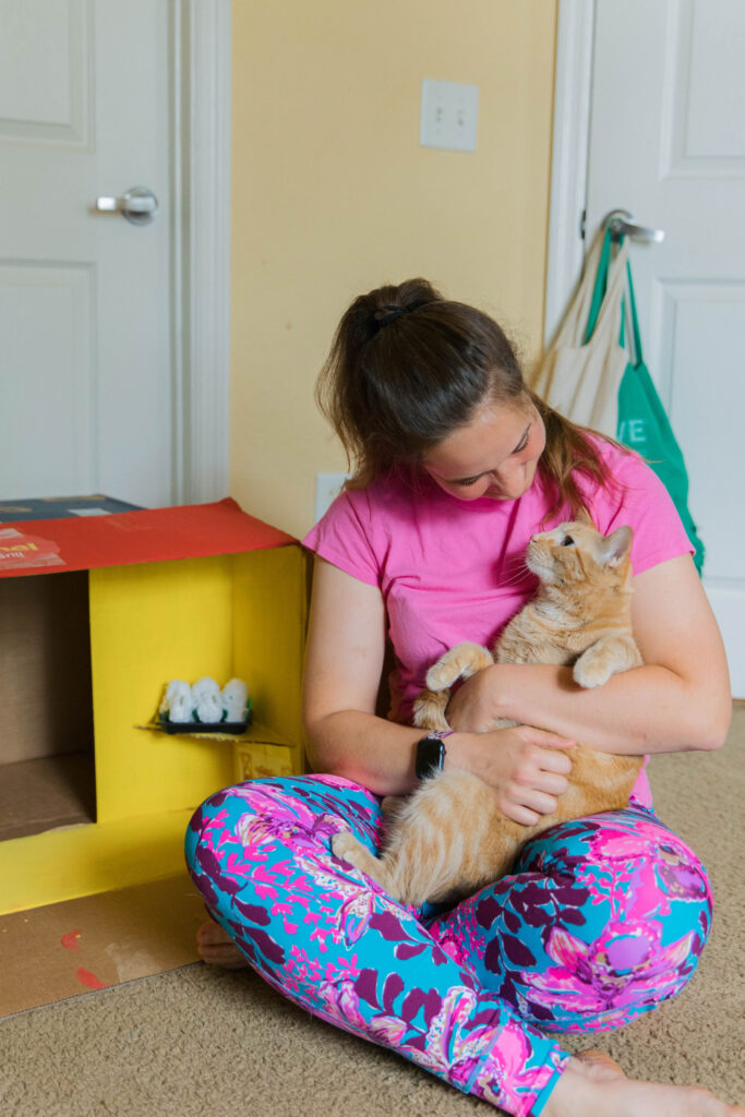 DIY Cat Enrichment Cardboard Cat House With Crochet Kitty Catnip Toys sparkles and sunshine blog