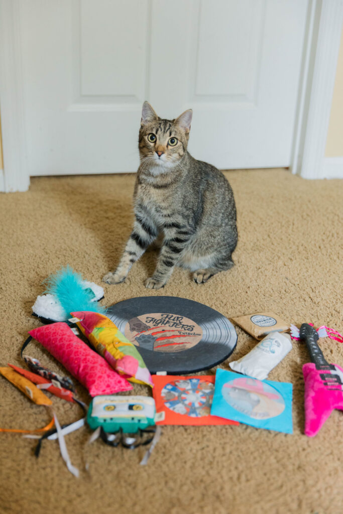 brown tabby Cat with Crochet kitty large cat kicker toy crochet kitty record cat toy crochet kitty guitar cat toy crochet kitty sushi cat toy crochet kitty crinkle cat mat crochet kitty silvervine cat toy crochet kitty baguette cat toy sparkles and sunshine blog