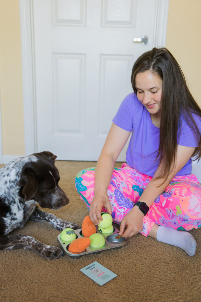 Muffin tin dog enrichment game Sparkles and Sunshine Blog