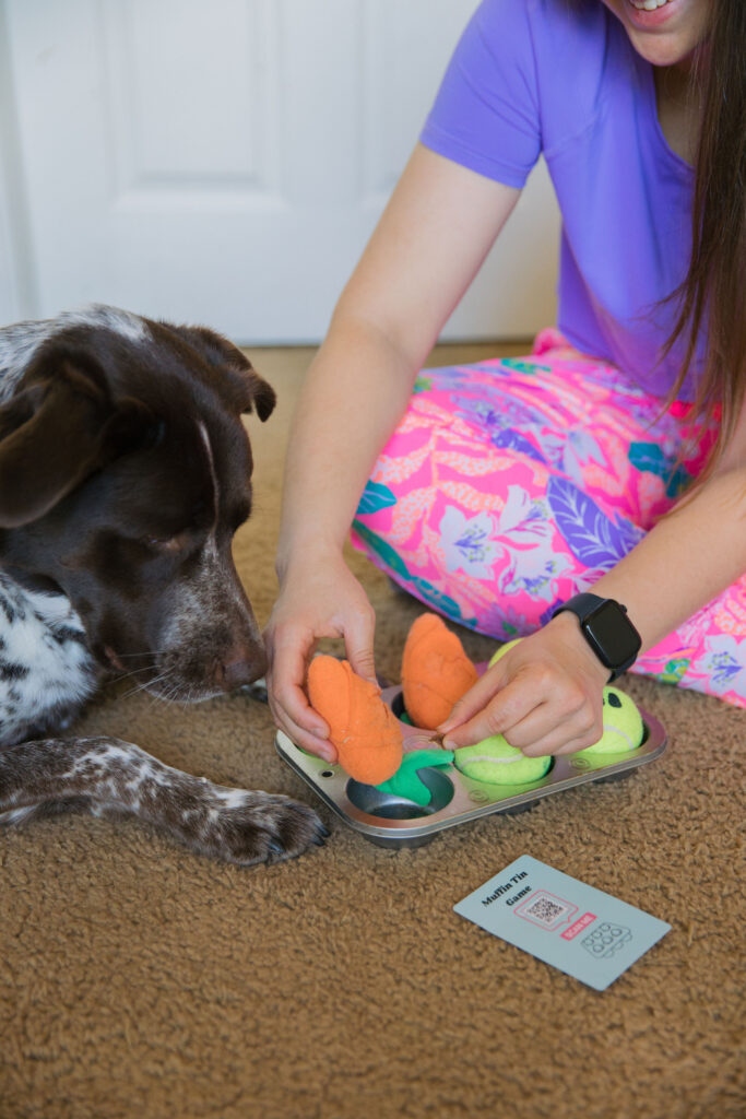 Muffin tin dog enrichment game Sparkles and Sunshine Blog