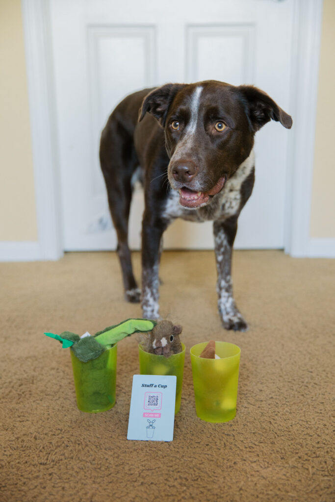 Stuff a cup dog enrichment nose work game for dogs Sparkles and Sunshine Blog