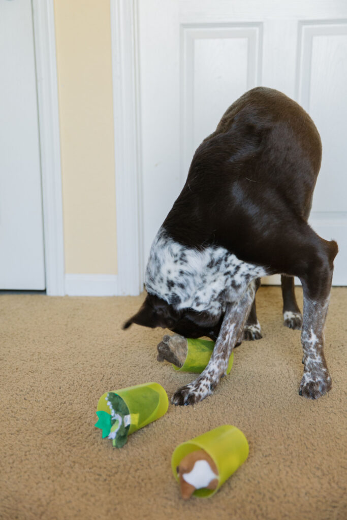 Woofsie dog enrichment idea stuff a cup dog game Sparkles and Sunshine Blog
