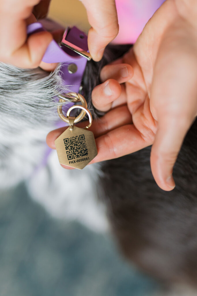 Biothane dog collars with Tailr QR code dog tag