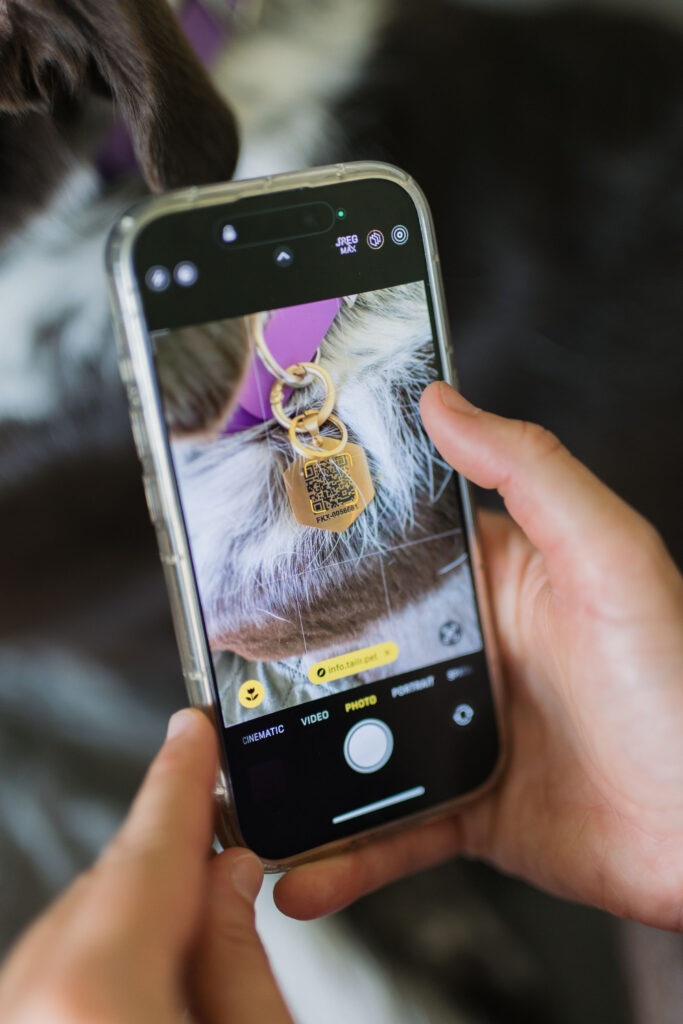 Tailr Pet tags for dogs on biothane dog collar Sparkles and Sunshine Blog