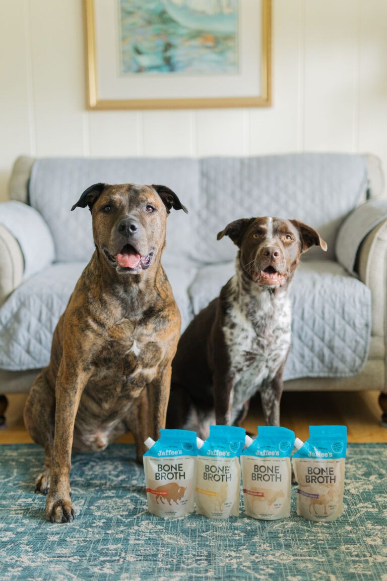Jaffee's Organic Bone Broth For Dogs and dog bone broth Dog Lick Mat Idea Sparkles and Sunshine Blog