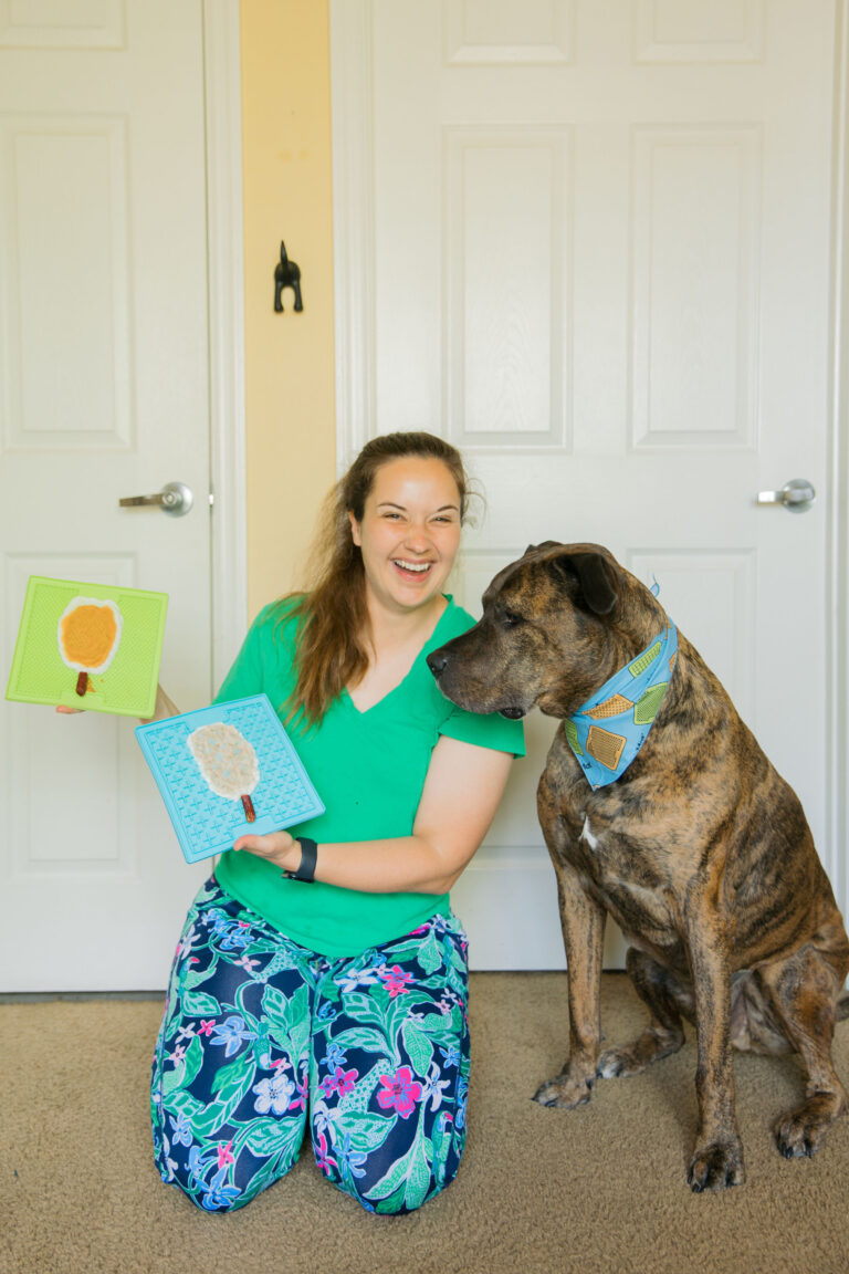 3 Summer Dog Lick Mat Treat Ideas Sparkles and Sunshine Blog