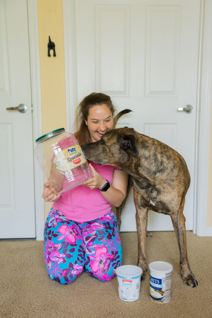 3 diy puzzle toys for dogs sparkles and sunshine blog