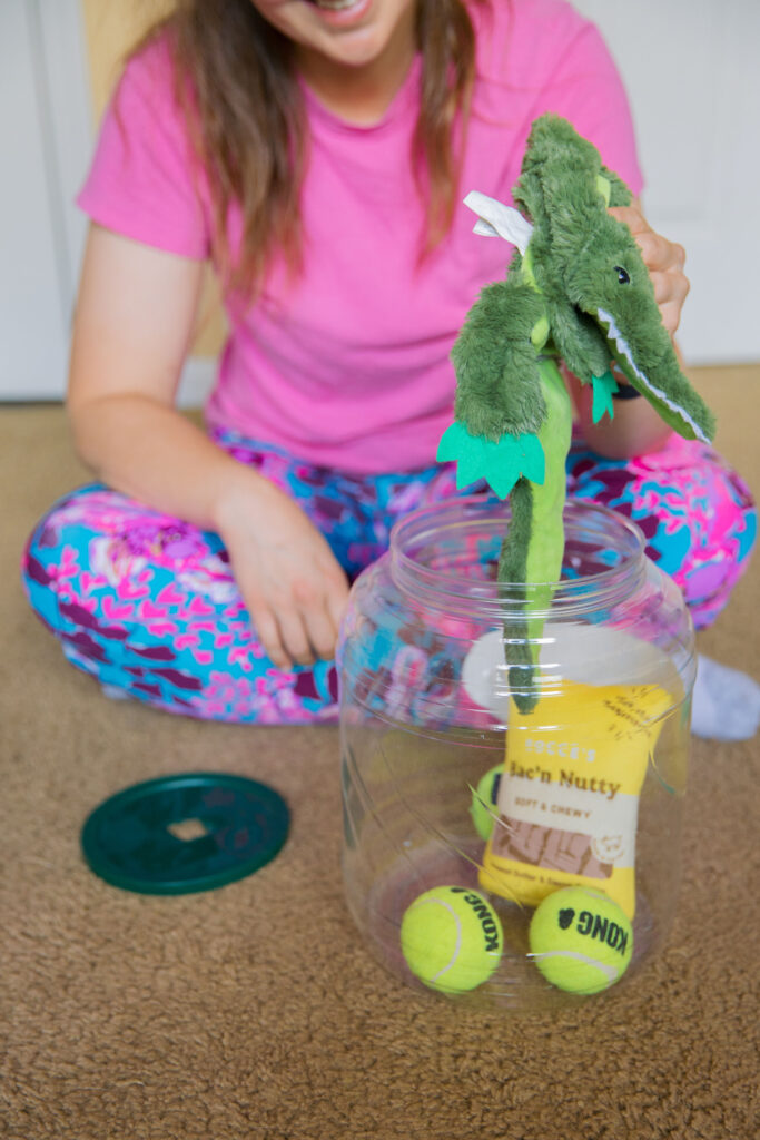 Homemade dog toys to keep them busy with pretzel container sparkles and sunshine blog