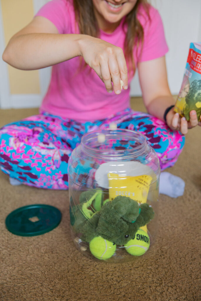 Homemade dog puzzle with pretzel container sparkles and sunshine blog