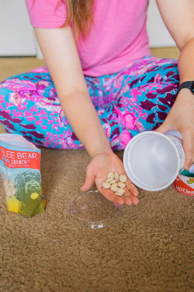 Diy dog treat dispenser using aldi yogurt container sparkles and sunshine blog