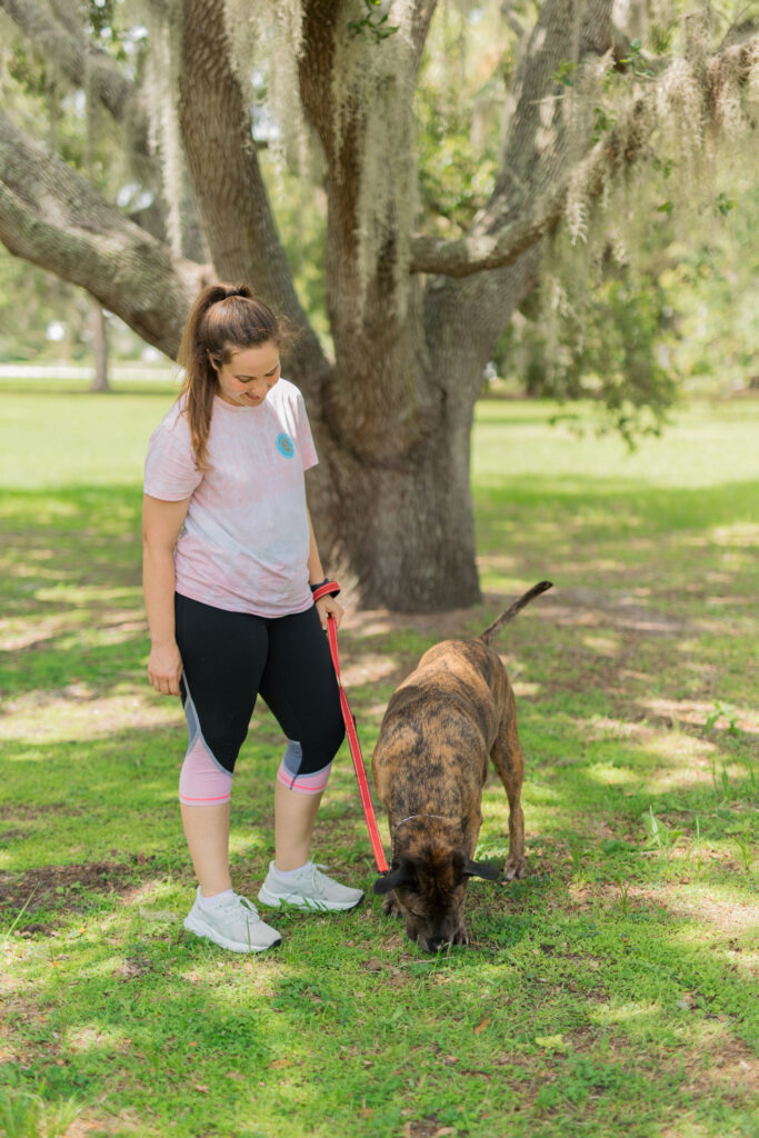 Sniffari enrichment activities for dogs sparkles and sunshine blog