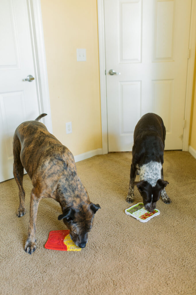5 Easy Dog Lick Mat Ideas Sparkles and Sunshine Blog