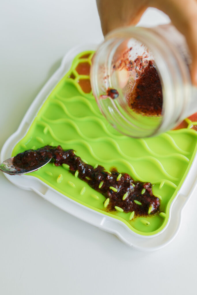 Frozen yogurt blueberry strawberry dog treat recipe on Trixie lick n’ snack licking plate dog lick mat Sparkles and Sunshine blog