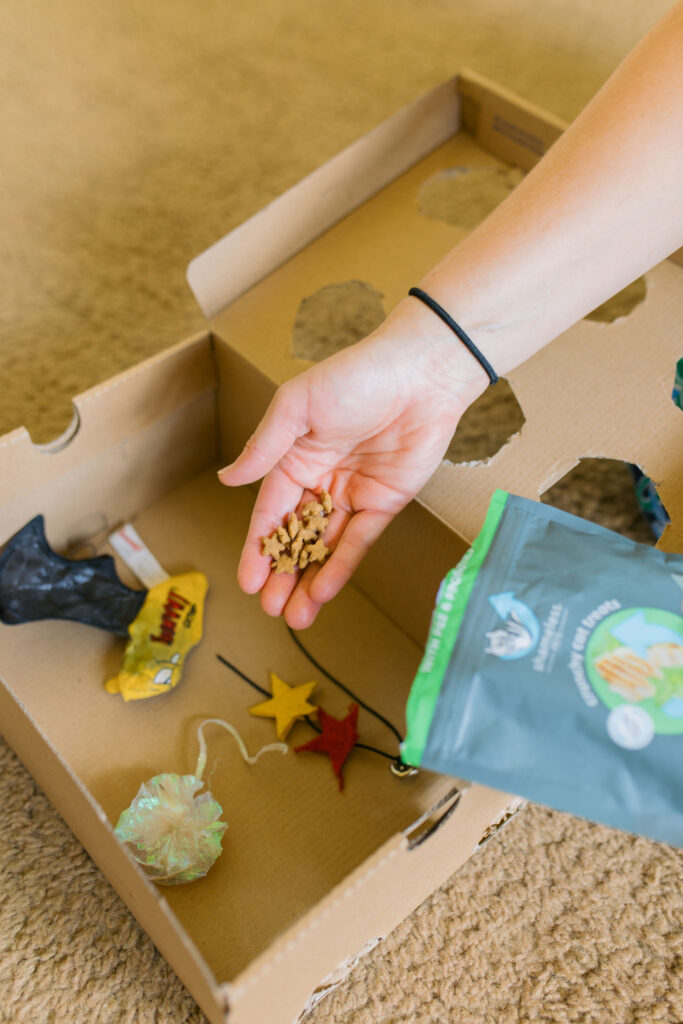 Diy cat enrichment toys sparkles and sunshine blog