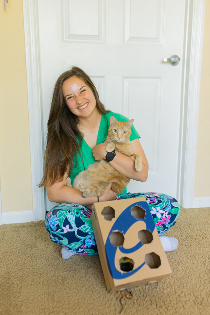 3 DIY Cat Puzzle Feeders Sparkles and Sunshine Blog