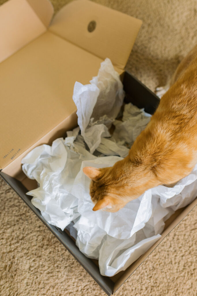 Cat enrichment for indoor cats sparkles and sunshine blog