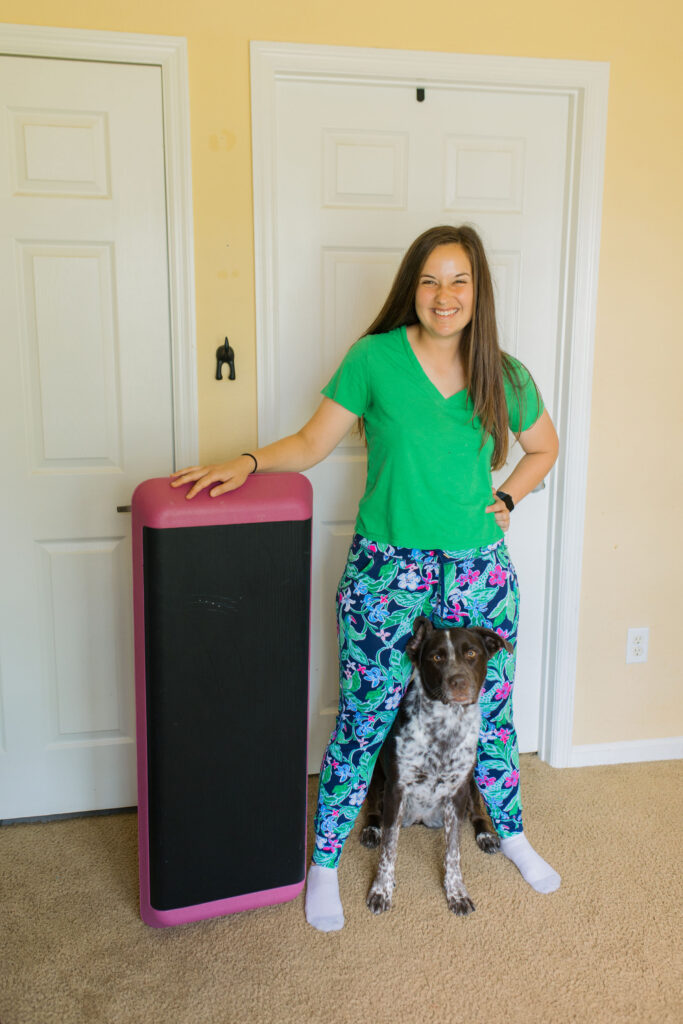 4 K9 Fitness Exercises Using An Aerobic Bench Step Platform Sparkles and Sunshine Blog