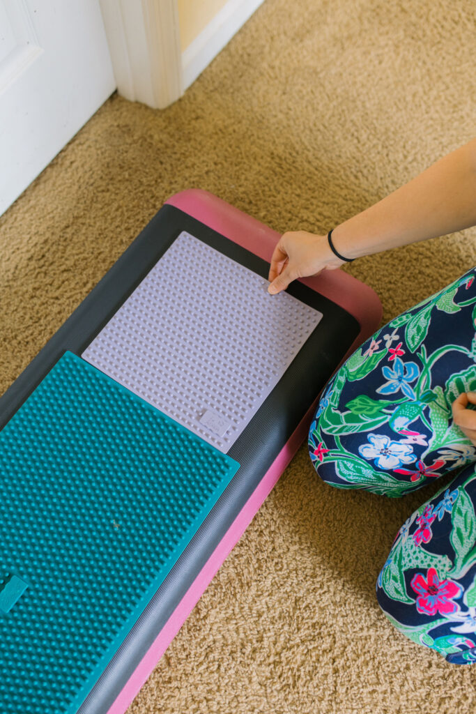 FitPaws K9 FitMat and FitPaws TRAX Targets on aerobic bench step platform for canine conditioning exercises Sparkles and Sunshine Blog