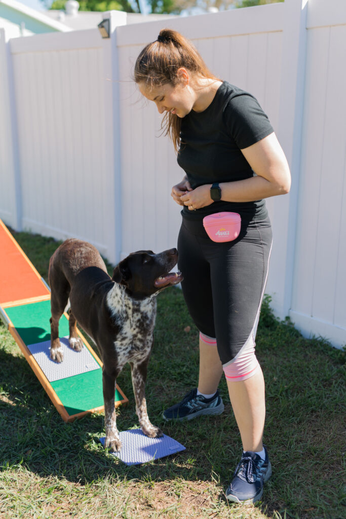TRIXIE dog agility walk it with FitPaws TRAX Targets Sparkles and Sunshine Blog