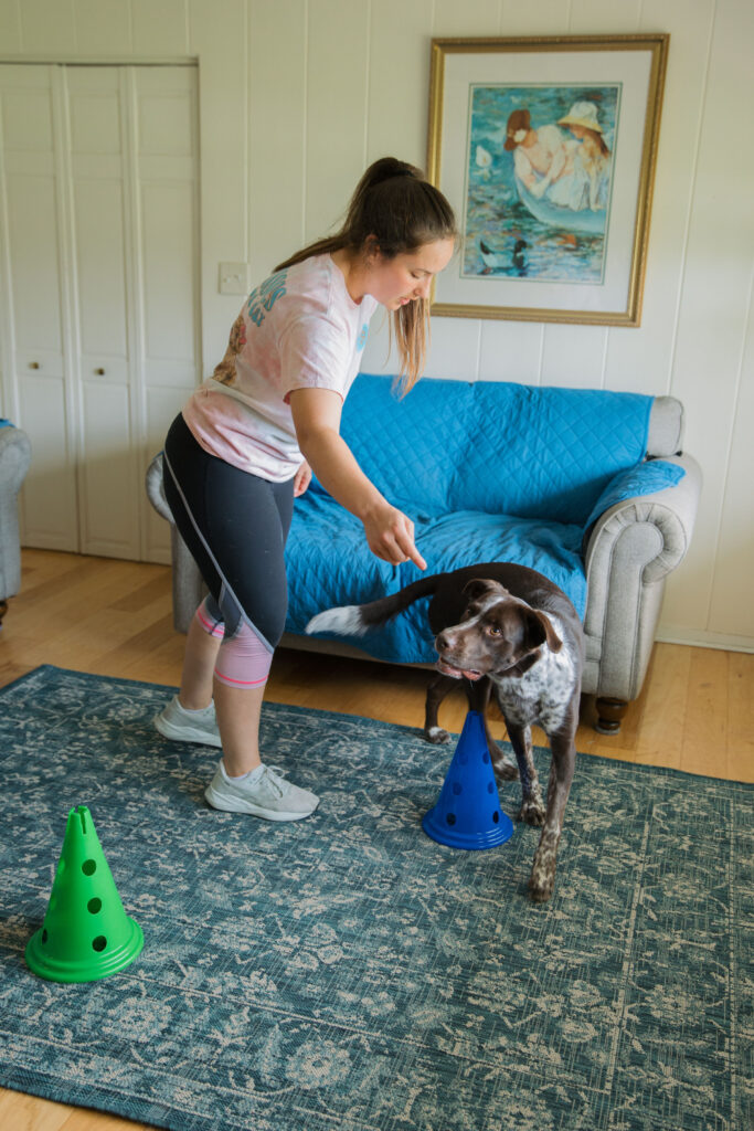 Fitpaws dog cavaletti canine fitness equipment exercise Sparkles and Sunshine Blog