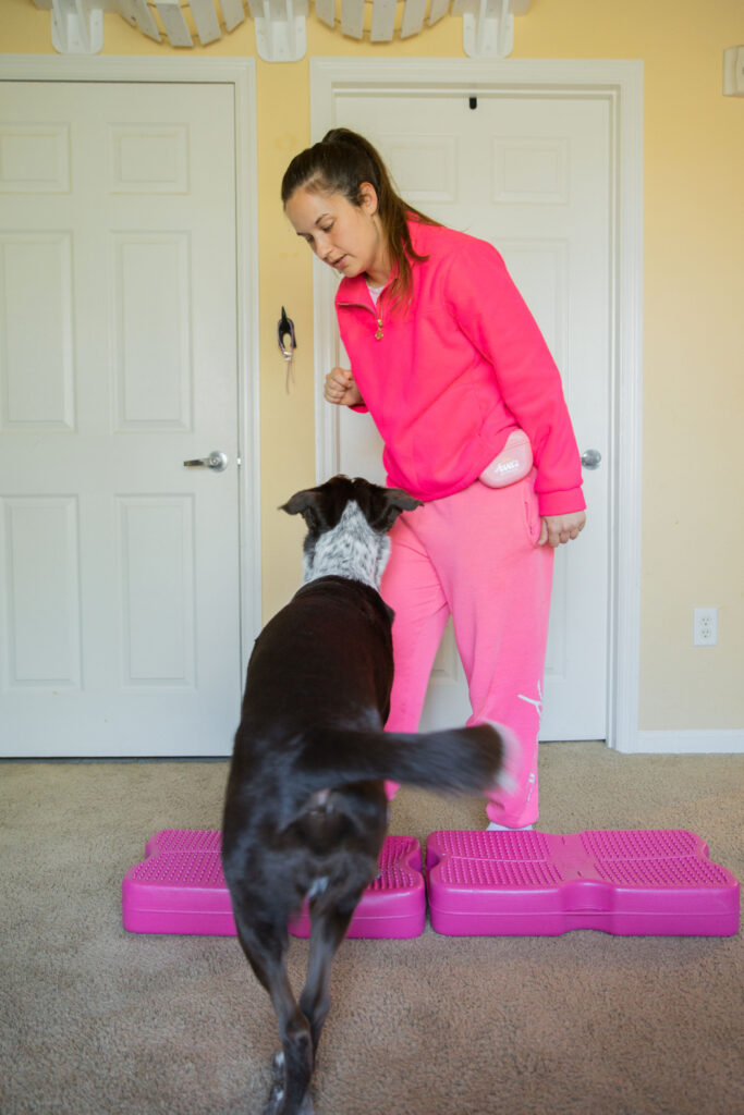 Sidestepping canine conditioning exercise on pink blue-9 propel air platform canine fitness equipment sparkles and sunshine blog