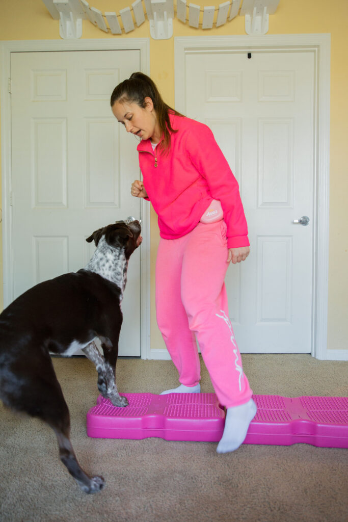 Sidestepping canine conditioning exercise on pink blue-9 propel air platform canine fitness equipment sparkles and sunshine blog