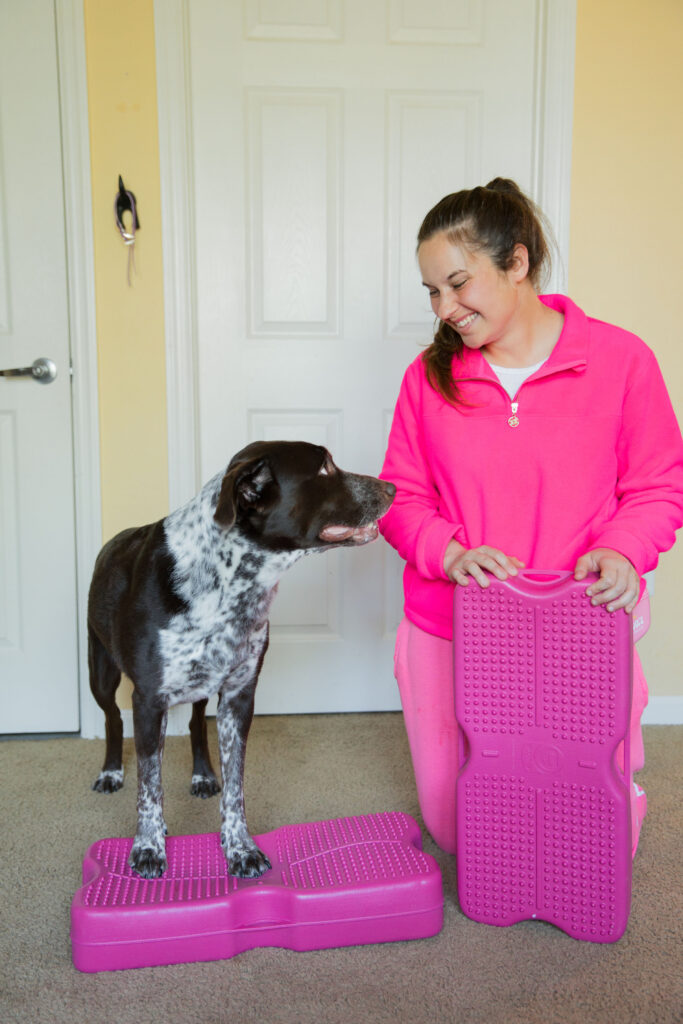 4 Blue-9 Propel Air Platform K9 Fitness Exercises Sparkles and Sunshine Blog